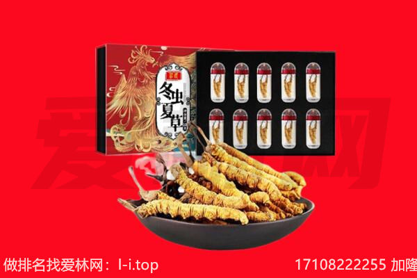重庆綦江区回收虫草.jpg
